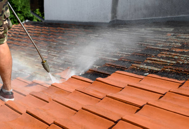 Best Affordable Power Washing  in Limesa, CA