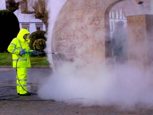 Best Residential Pressure Washing Services  in Limesa, CA